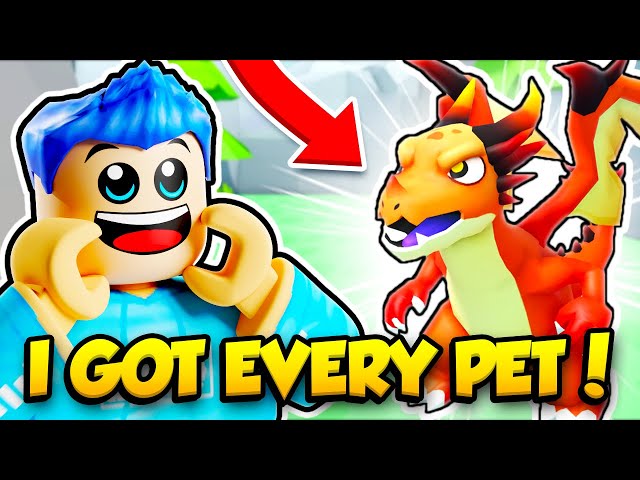 Acquire codes for all pets in Roblox: Free Enhance (Could 2022) 95 sddefault