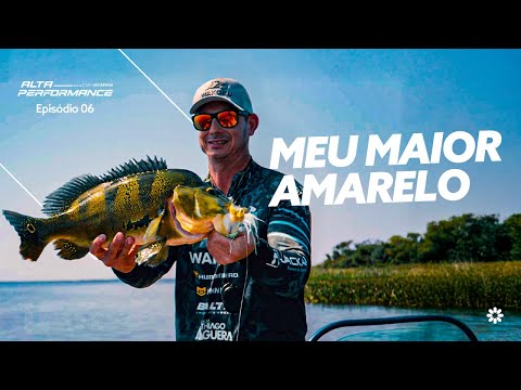 Recorde de tucunaré-amarelo em Panorama-SP! Emoção no Rancho dos Ipês | Alta Performance