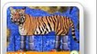 Sesame Street: Tiger Legs