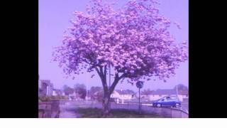 Crying - Roy Orbison Cover by Emma Forman