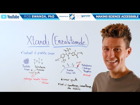 Enzalutamide Capsules 40 Mg Bdenza 40mg Capsule