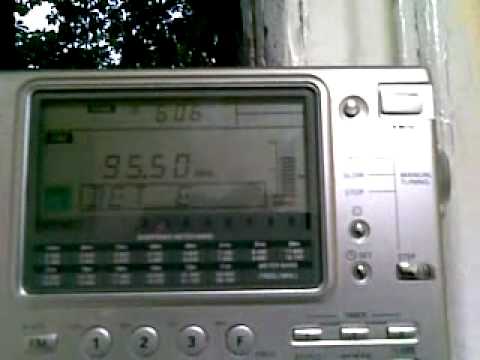 23.05.2010 -  95.50 _BET_E_ Izrael E Sporadic