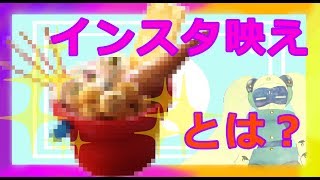 【検証】インスタ映えを徹底解明！Instagramに潜む謎に迫る【ストップモーション】
