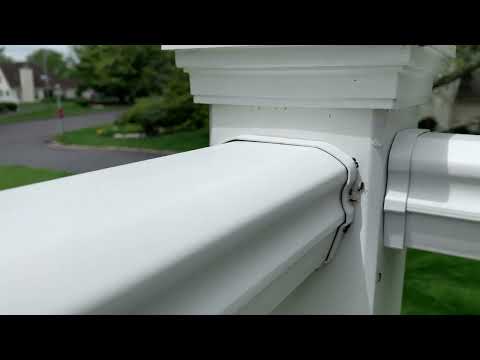 Carpenter Ants Trailing Along the Front Porch in Warren, NJ