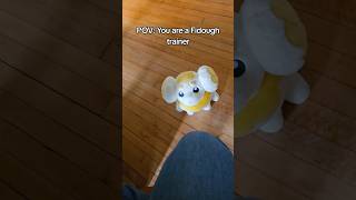 POV: You are a Fidough trainer #pokemon #pokemoncommunity #pokemonplush