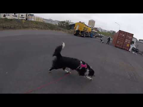 video #2, 30.07.23, Runaway, TD Rökkvi/ TDH Kata