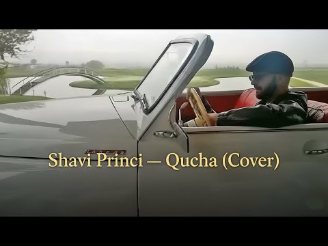 Shavi Princi — Qucha ( Cover )