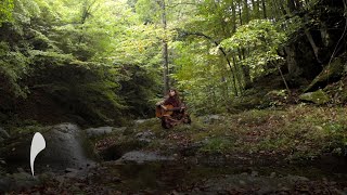 Maddi - Come and Go ( The ballad of the butterfly )