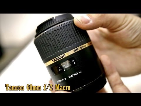 Tamron 60mm f/2 macro lens review (with samples)