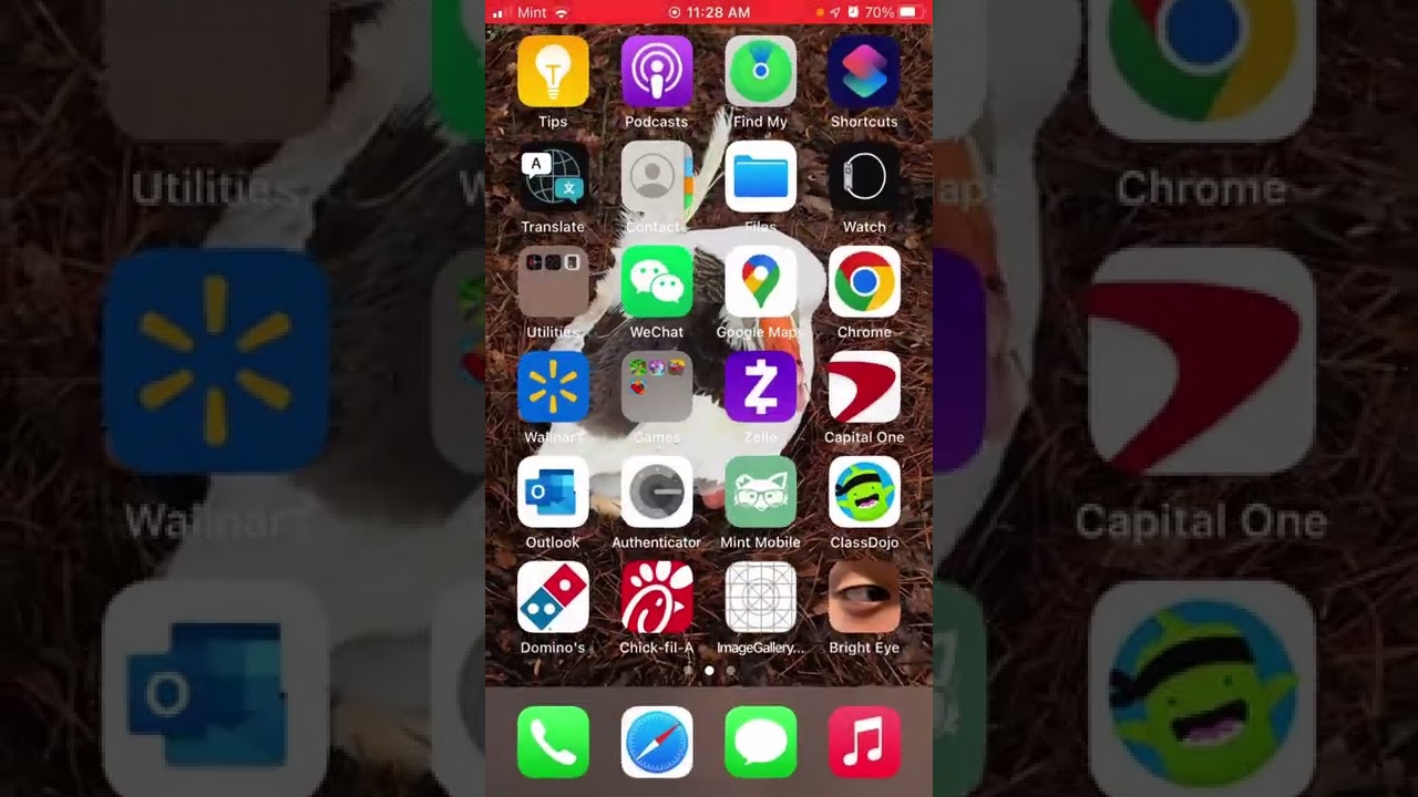 A 17-minute description of Bright Eye (iOS) version 2