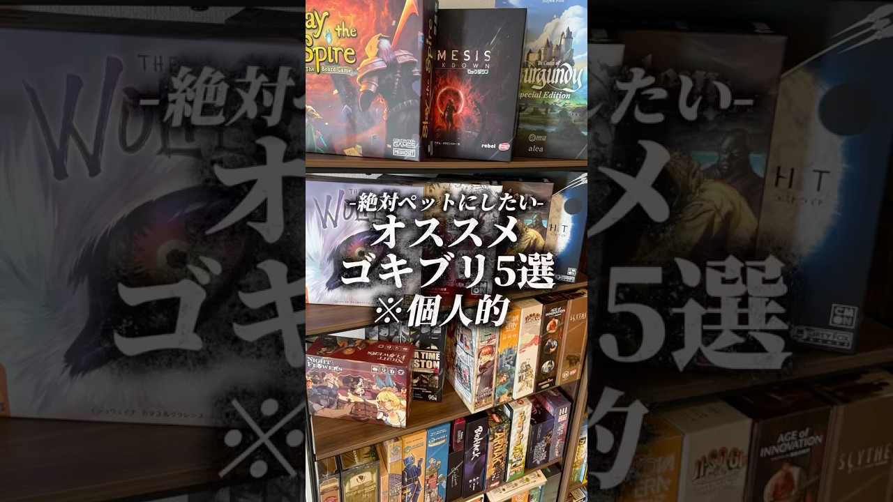 【絶対ペットにしたい】ガチでオススメのゴキブリ5選