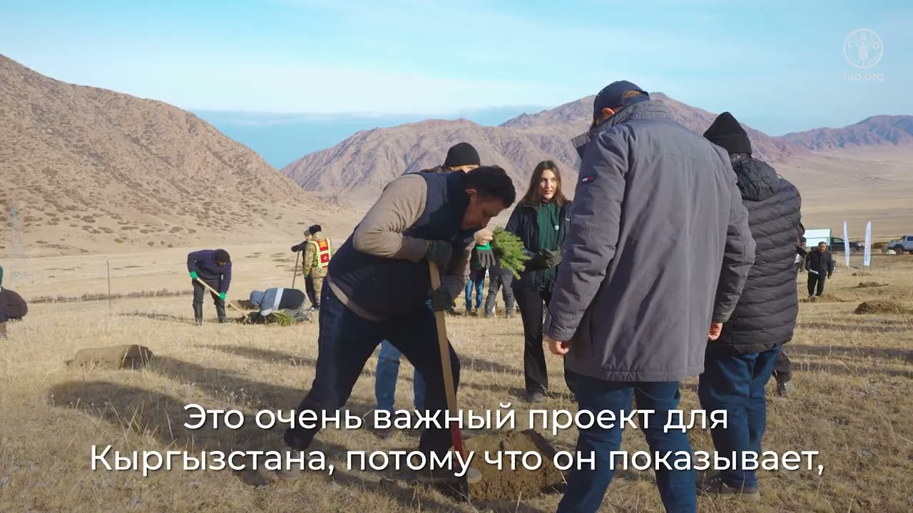 Кыргызстан активизирует усилия по восстановлению лесов и защите горных экосистем