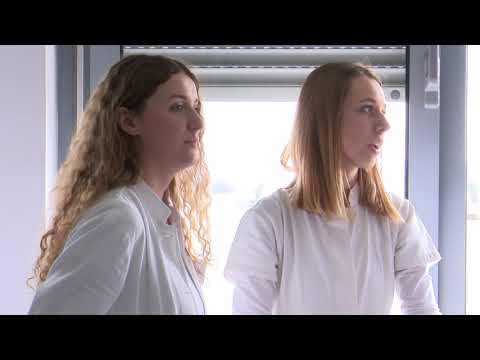 SBTV - DNEVNIK - Edukacija specijalista anesteziologije - 18.04.2018.