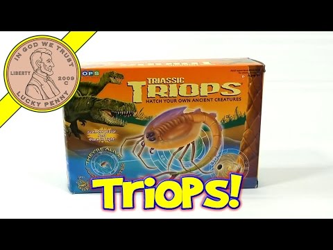 Triassic Triops Hatch Your Own Ancient Creatures Kit, by Toyops (Day 1) Video