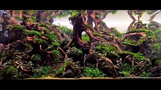 Building hardscape in planted tanks