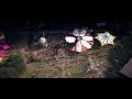 Waldfrieden Wonderland 2022 Trailer Official