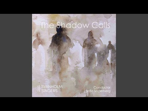 The Shadow Calls