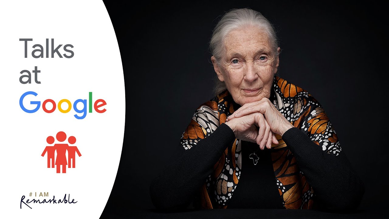 Video-Thumbnail von YouTube