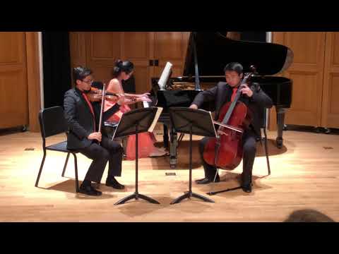 Mendelssohn piano trio no 1 in D Minor, Op 49, Mvt 1. Molto Allegro e Agitato