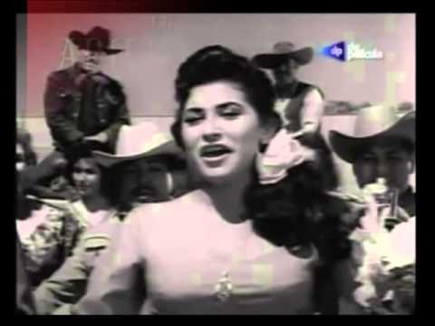 Adilia Castillo   Que se mueran de envidia   Colección Lujomar