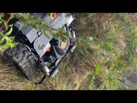 Sherlock's Tree and Countryside Services video.