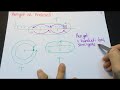 12. Sınıf  Fizik Dersi  Uzanım, Genlik basit harmonik hareket ancak bu kadar kolaya indirgenebilir :))) Temel kavramlarla kolaydan zora sırayla... konu anlatım videosunu izle