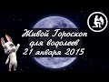 Гороскоп Водолей на 21 января от Зайки Zoobe 