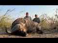 Chawalo Buffalo Hunt Trailer
