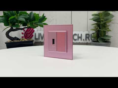 Розетка USB с блоком питания 2.1А 5В Livolo, цвет розовый (механизм) BB-C7-1USB-17