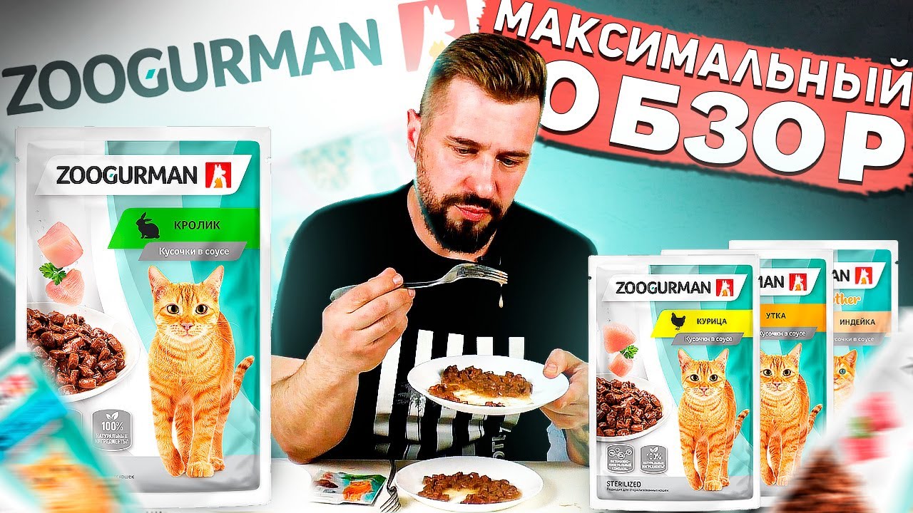Влажный корм для кошек ZOOGURMAN за 25 рублей | Недорогая альтернатива популярным паучам???