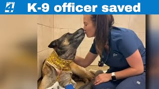 ‘Get him out of here now!’ Bodycam shows moments officers save K-9 shot while going after suspects