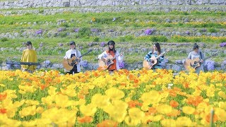 アゲイン / WANIMA【歌詞付】TVドラマ「メゾン・ド・ポリス」主題歌｜Cover｜MV｜PV｜FULL｜ワニマ｜メゾポリ