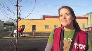 Trees along the West Eugene EmX Corridor - Part 2