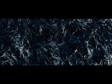 3PLUSSS - MANTRA (prod. von WE DO DRUMS) [Official Video]