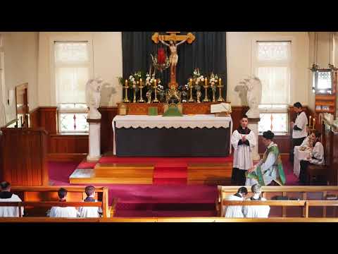 SSPXNZLIVE - Sixth Sunday after Pentecost Mass - 12 July 2020