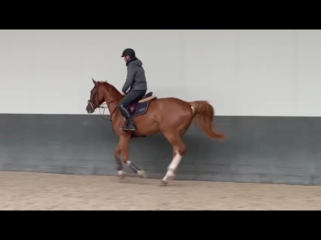 Riding movie at home Salvinio MB.