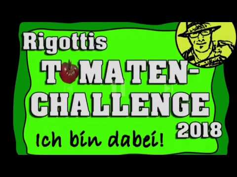 Rigottis Tomatenchallenge, ich bin dabei!!