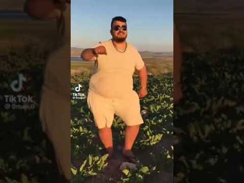 cibili dom dom yes yes