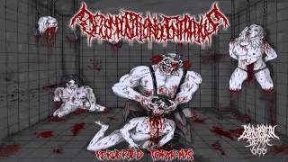 Decomposition Of Entrails - Perverted Torments (2013) {Full-Album}