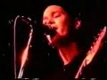 The Autumns - Embracing Winter