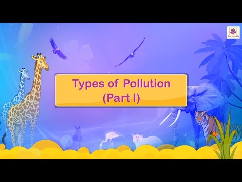Types of Pollution | Science for Kids | Grade 4 | Periwinkle