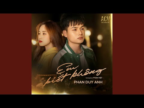 Em Biết Không (Acv Lofi)