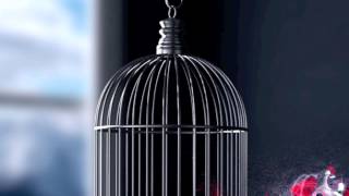 David Porter - All The Way