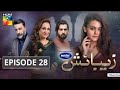 Zebaish Episode 28 | Hum Tv Drama | 18th Dec 2020
