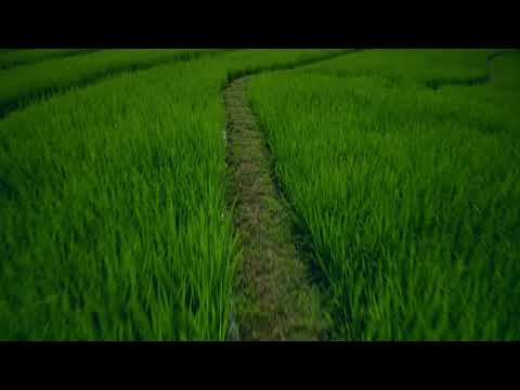 190915 A 04 Drone 13 TEST