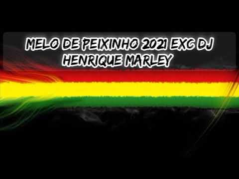 MELO DE PEIXINHO 2021 DJ HENRIQUE MARLEY
