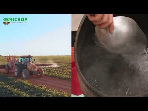 MiCRop: Harnessing the second genome of plants