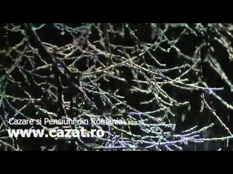 Cazare Livada, Arad - Cazat.ro