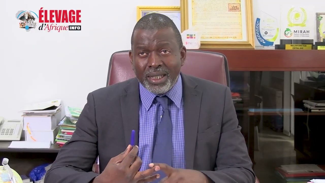 Interview du Directeur des Services Vétérinaires, Dr KALLO Vessaly sur "La Rage"