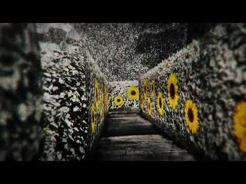 Video thumbnail for Garden Eyes